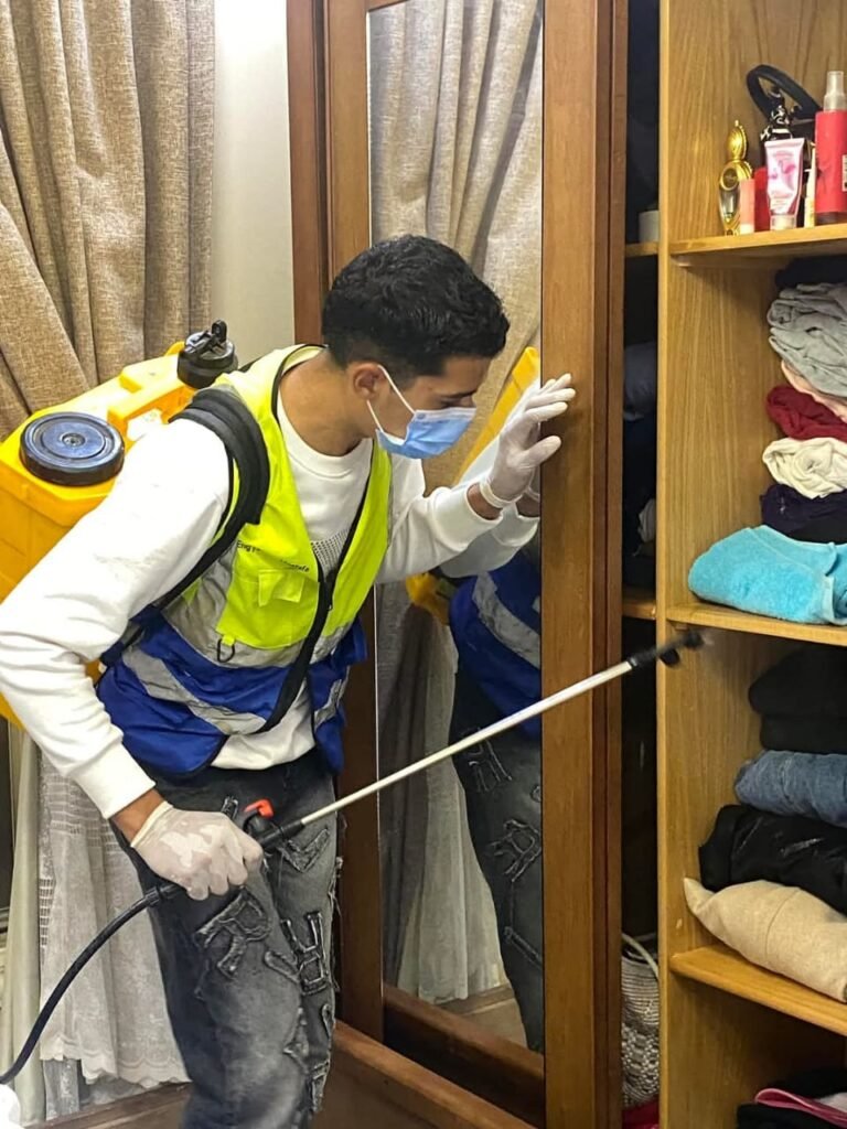 Pest Control in Sheikh Zayed