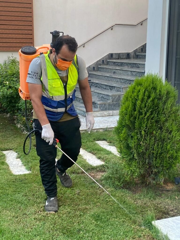 pest control service cost in Sheikh Zayed