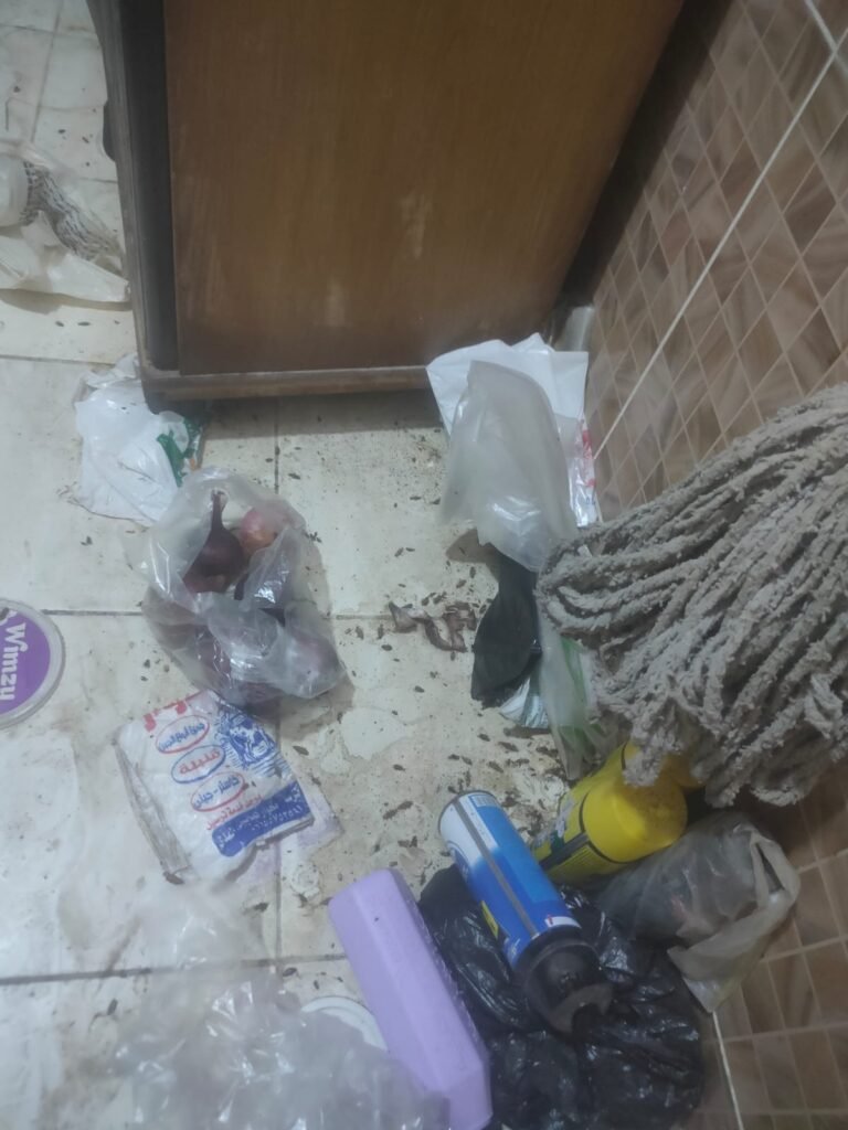 مكافحة حشرات في الشيخ زايد