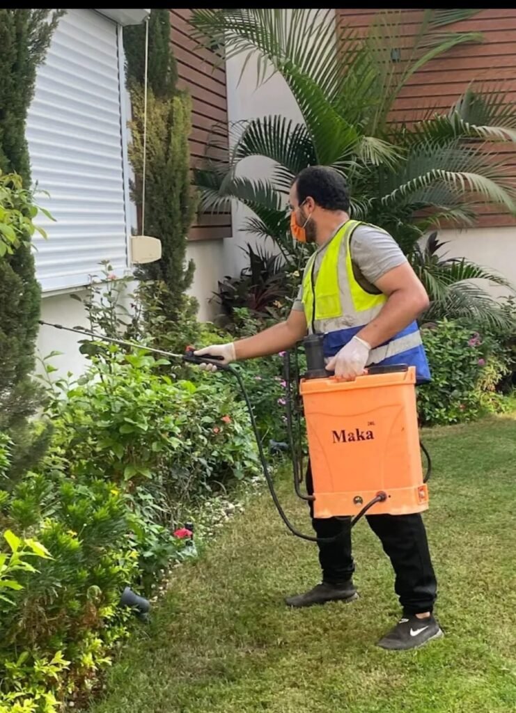 pest control service cost in Sheikh Zayed